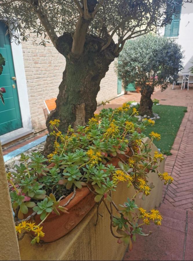 B&B La Chicca Равенна Экстерьер фото
